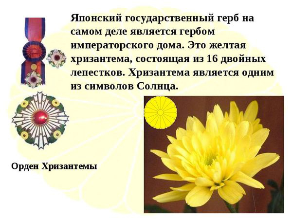 хризантемы на гербе