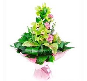 Букет с веткой зеленых орхидей, розовыми розами, антуриумом, зеленью аспидистры и рускуса, упакованный в органзу
