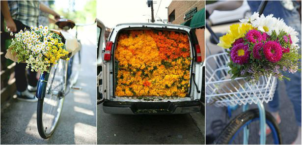 цветы и велосипед
