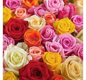 Розы разных цветов, микс, розы поштучно