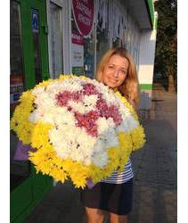 A huge bouquet of chrysanthemums with delivery Chervonograd
