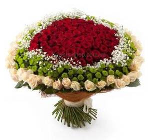 Огромный букет их роз красного и кремового цвета, зеленых хризантем и гипсофилы, в декоративной сизали