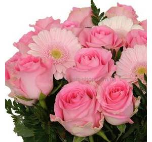 To My Girl