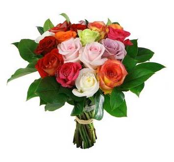 Букет из импортных роз различных сортов и зелени салала