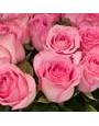 Импортные розы нежно-розового цвета