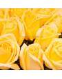 Желтые розы производства Эквадор