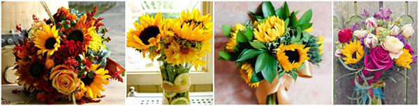 sunflower collage
