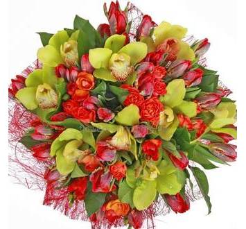 Букет из тюльпанов, кустовых роз, фрезий и зеленых орхидей в красной упаковке