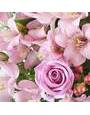Розовые розы и альстромерии, гиперикум