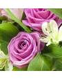 Розы аква, белые и розовые альстромерии, зелень