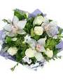 Белые орхидеи цимбидиум, фрезии, розы, фиолетовая упаковка