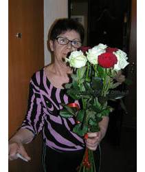 Rose delivered g.Svetlovodsk