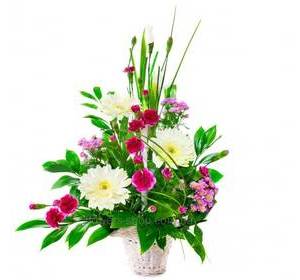 Цветочная корзина из хризантем, гербер и гвоздик, с зеленью рускуса и берграсса