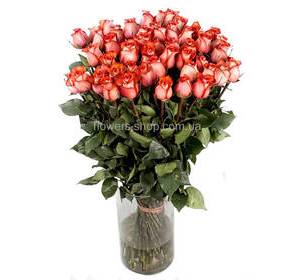 Розы сорта Блаш производства Эквадор