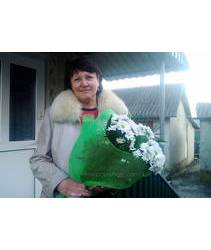 Bouquet of daisies delivered to Neteshin