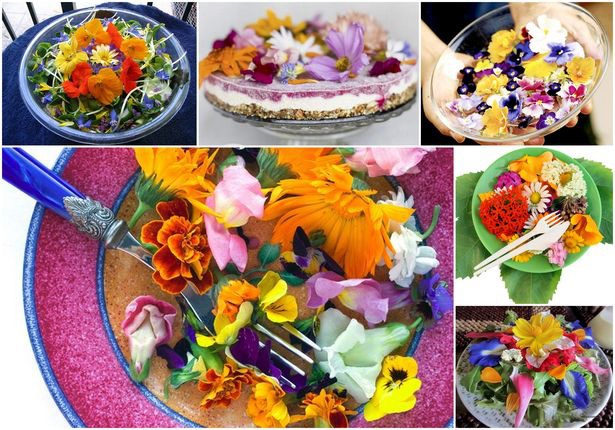 блюда из цветов