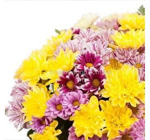 Букет хризантем