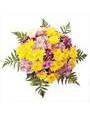 Разноцветные хризантемы, листья ледерварена, лента