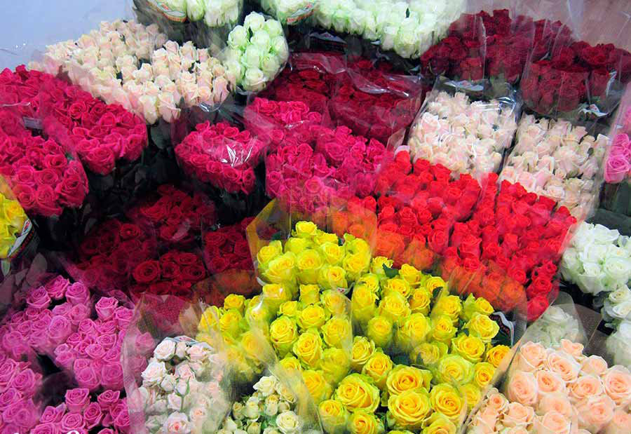 розы в пачках на цветочном складе