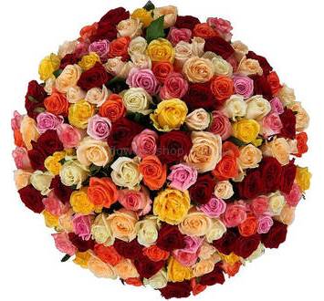 Фото огромного букета из разноцветных роз 151 стебель