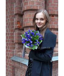 Irises delivered in Manganese