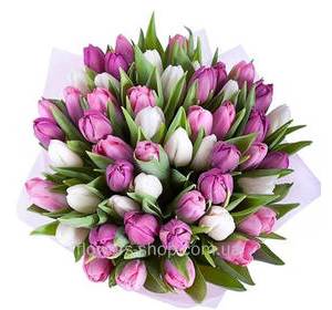 Bouquet of tulips