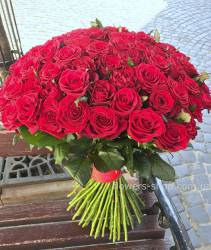 Delivery in Ternopil 101 red roses Bouquet of 101 roses Frodom delivered to Ternopil