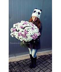 Девушка из Белой Церкви с букетом ромашковых хризантем