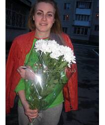 White chrysanthemum Zembla delivery Alchevsk