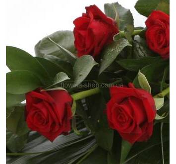 Красные розы с зеленью в каскадном букете