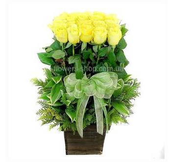 Желтые розы с декоративной зеленью в кашпо