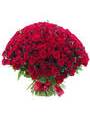 Фото огромного букета из красных роз 201 стебель