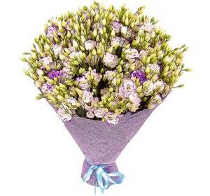 Біло-фіолетова еустома (лизиантус) поштучно