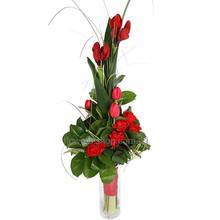 Букет из красных тюльпанов, амариллиса и роз, с зеленью аспидистры, берграсса и салала