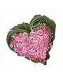 Сердце из розовых роз, бувардии, зелени аспидистры и берграсса